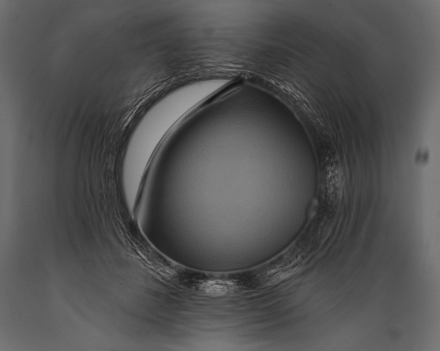 X0000088860508200706291521