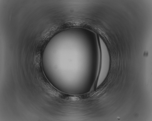 X0000088860509200706291521