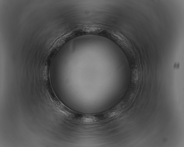 X0000088860510200706291521