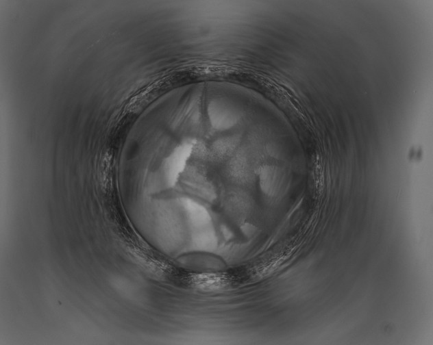 X0000088860511200706291521