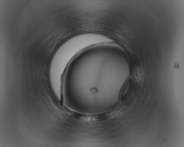 X0000088860512200706291521