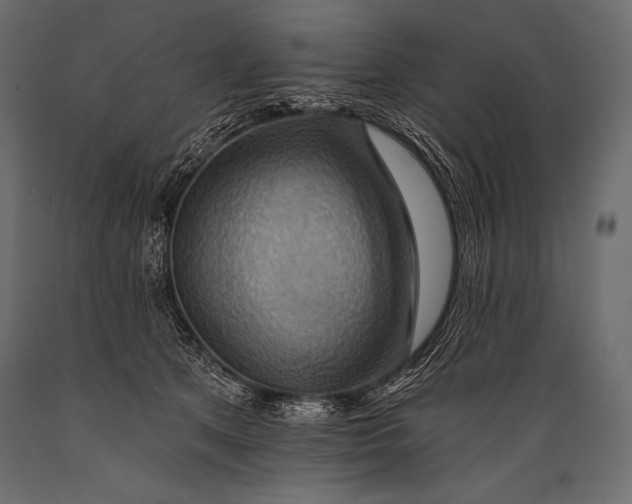 X0000088860513200706291521