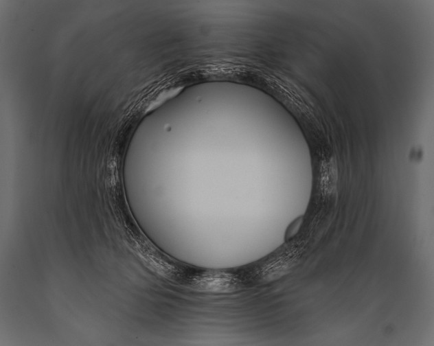 X0000088860514200706291521