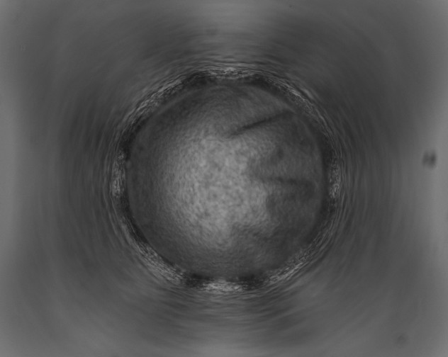 X0000088860515200706291521