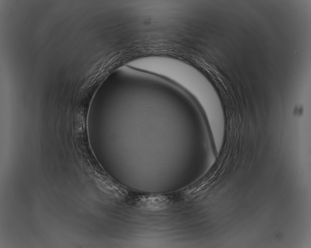 X0000088860517200706291521