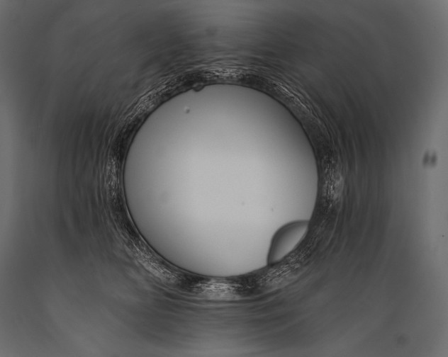 X0000088860518200706291521