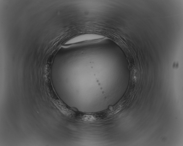 X0000088860519200706291521