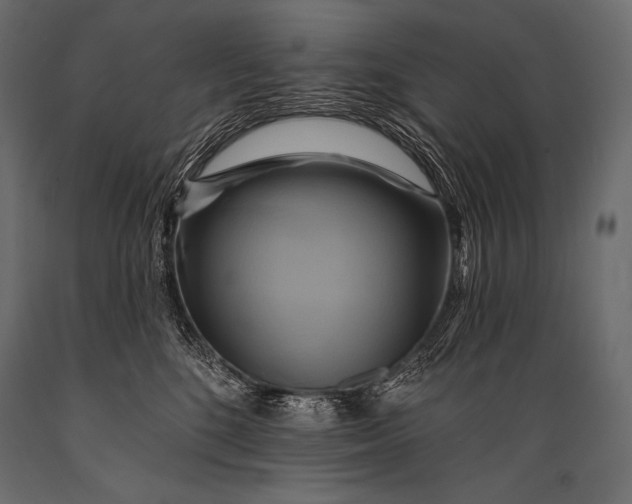 X0000088860520200706291520