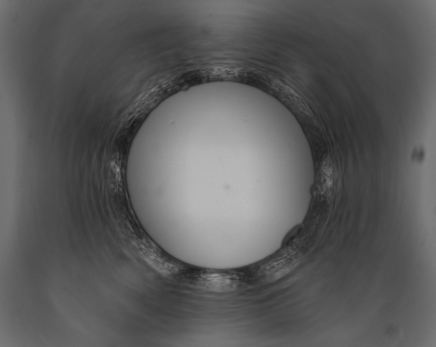 X0000088860522200706291520