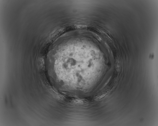 X0000088860523200706291520