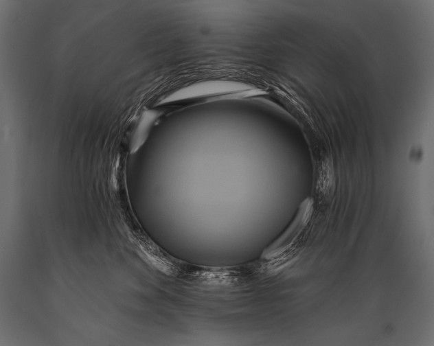 X0000088860524200706291520