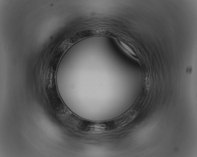 X0000088860525200706291520