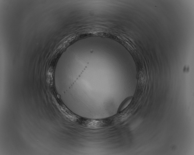 X0000088860527200706291520