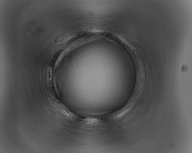 X0000088860528200706291520