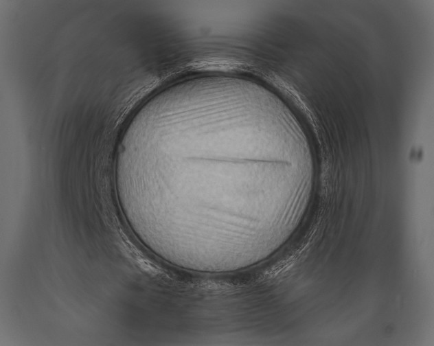 X0000088860529200706291520