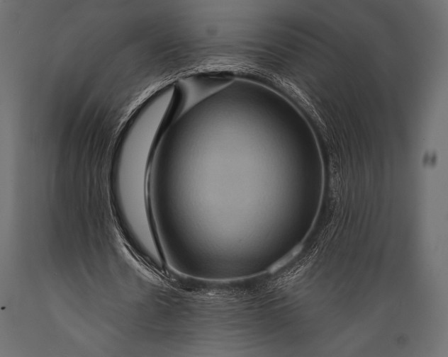 X0000088860530200706291520