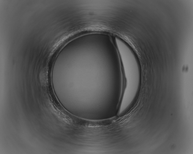 X0000088860531200706291520