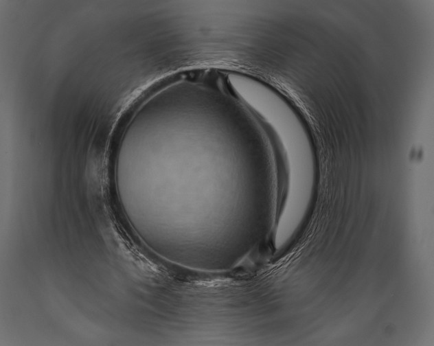 X0000088860532200706291520