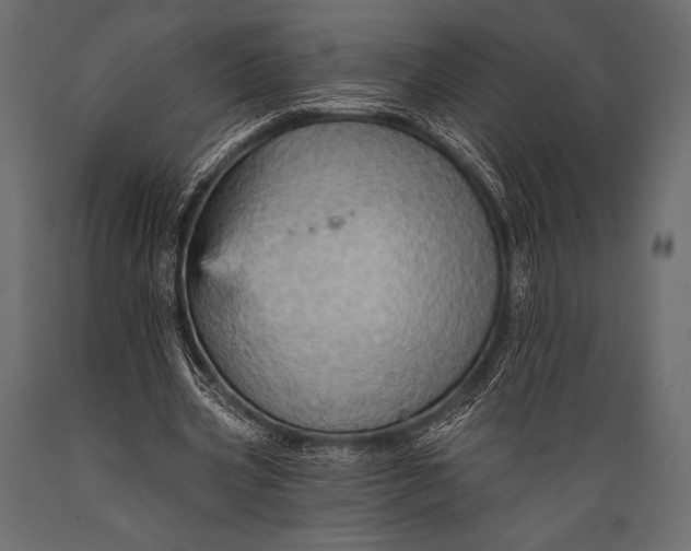 X0000088860533200706291520