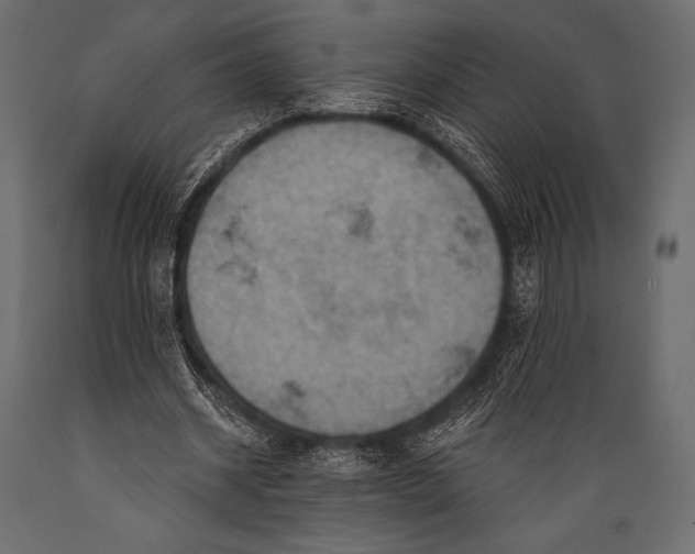 X0000088860534200706291520