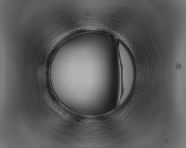 X0000088860535200706291520