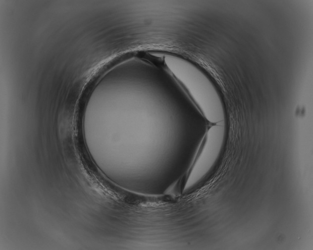 X0000088860536200706291520