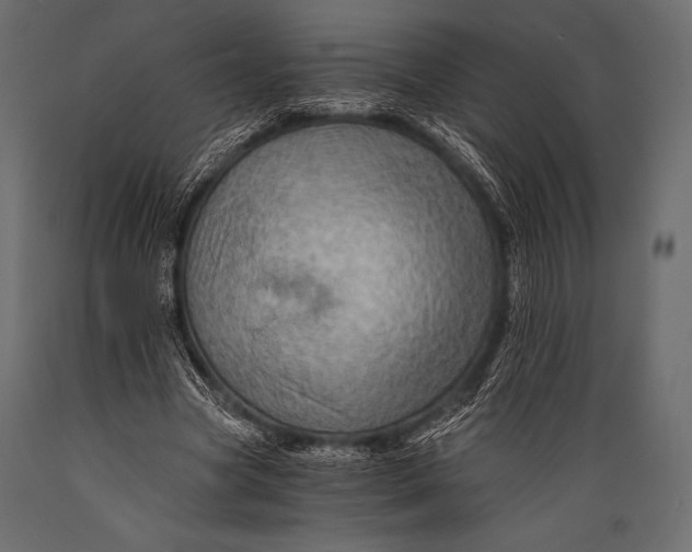 X0000088860537200706291520