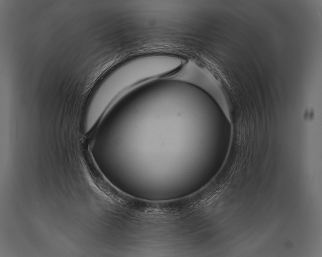 X0000088860538200706291520