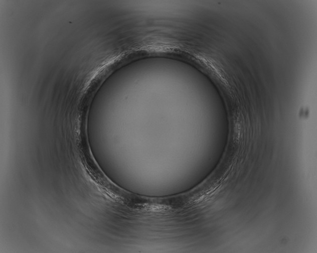 X0000088860539200706291520