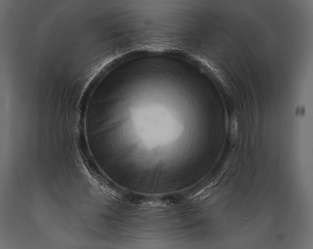 X0000088860540200706291520