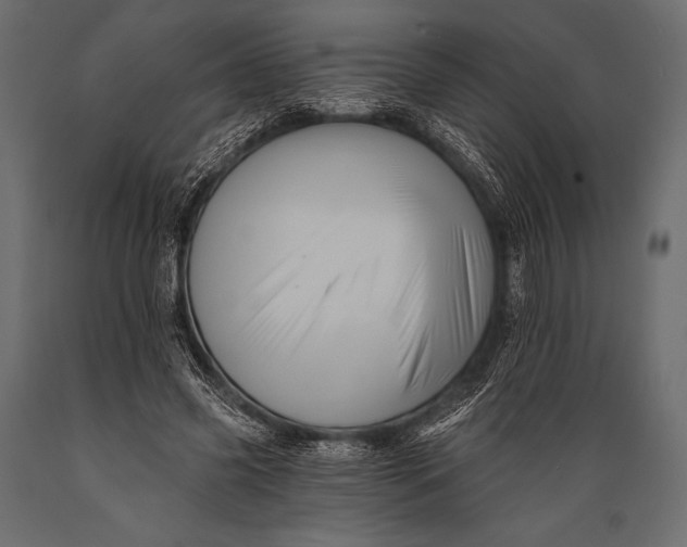 X0000088860541200706291520