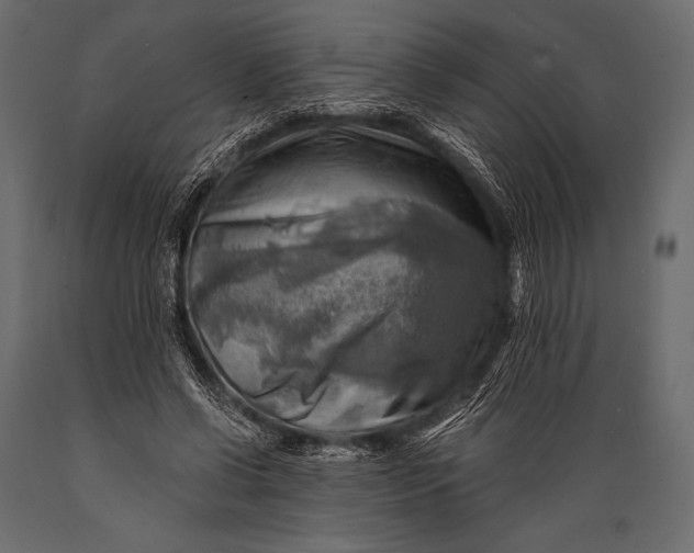 X0000088860542200706291520