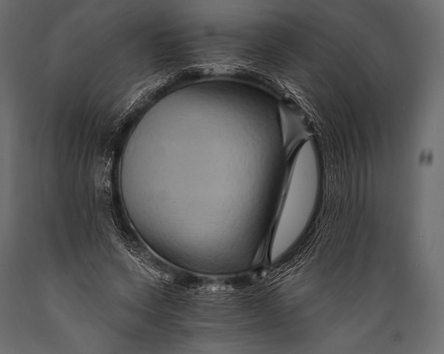 X0000088860543200706291520