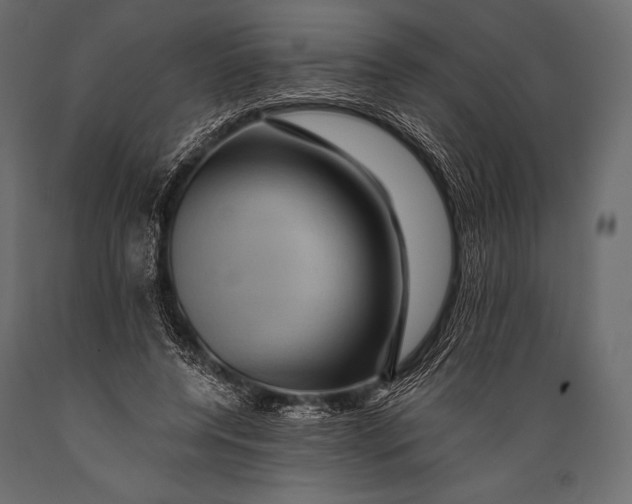 X0000088860544200706291520