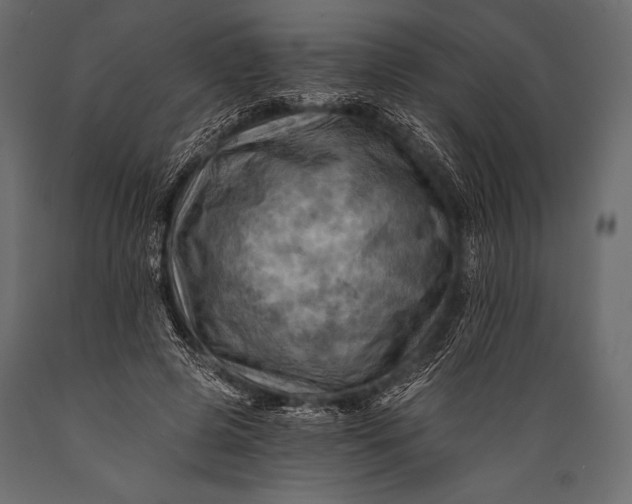 X0000088860545200706291520