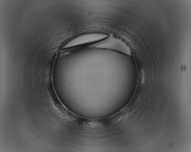 X0000088860546200706291520