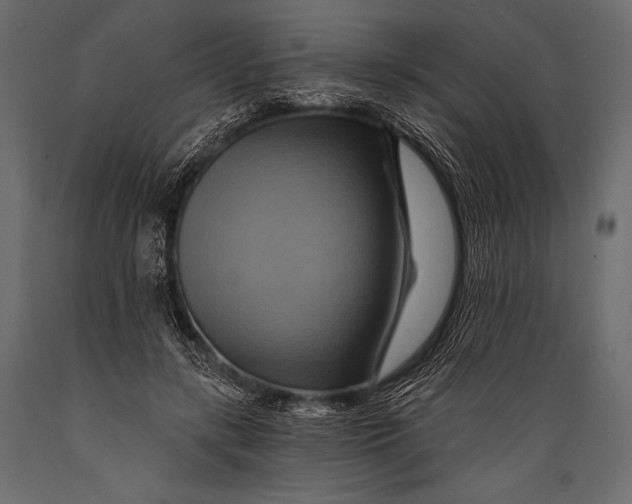 X0000088860547200706291520