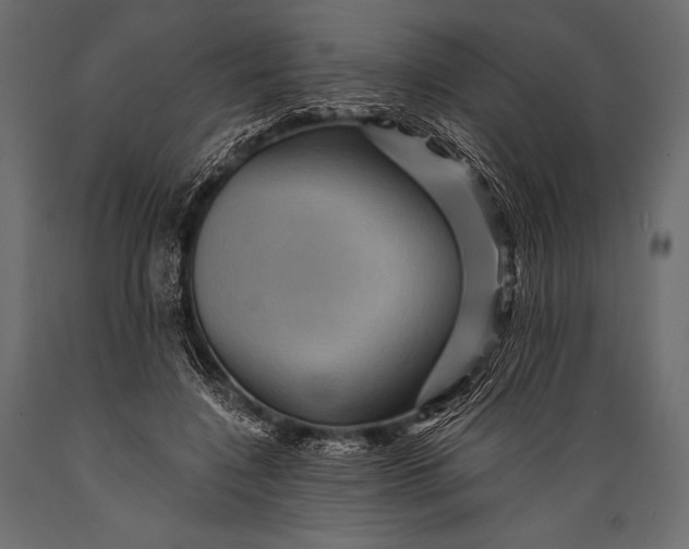 X0000088860548200706291520