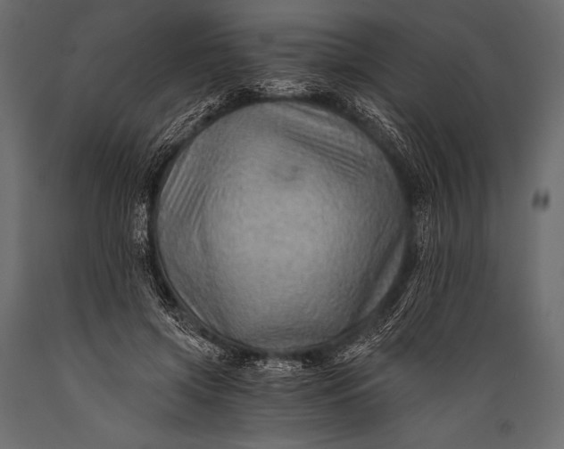 X0000088860549200706291520