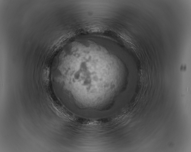 X0000088860550200706291520