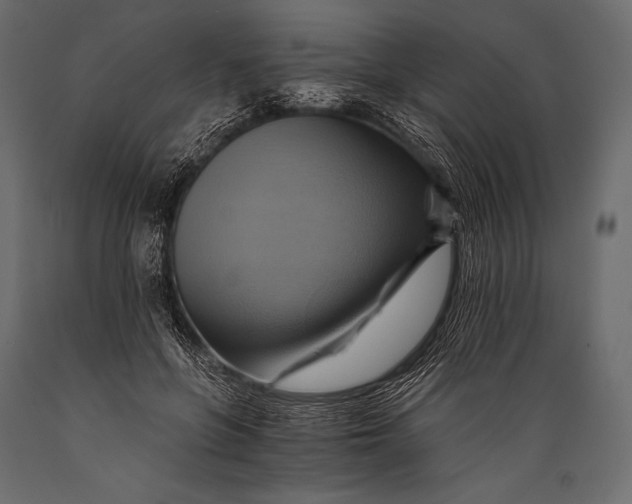 X0000088860551200706291520