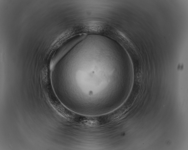 X0000088860552200706291520