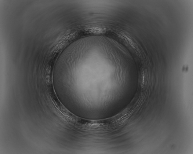 X0000088860553200706291520