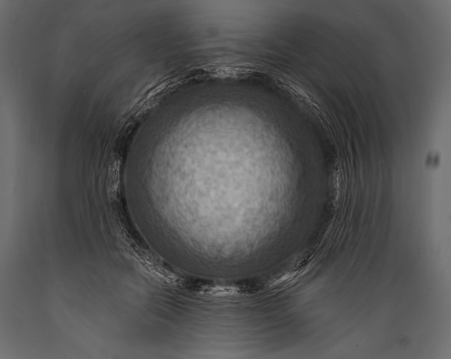 X0000088860554200706291520