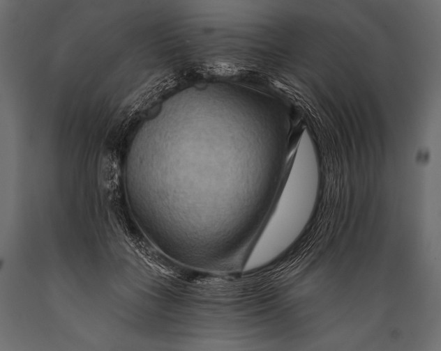 X0000088860555200706291520