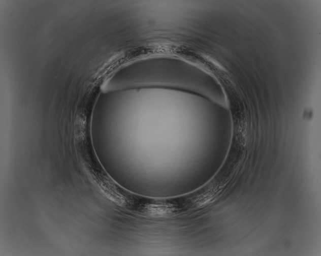 X0000088860556200706291520