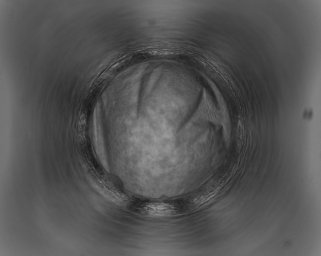 X0000088860557200706291520