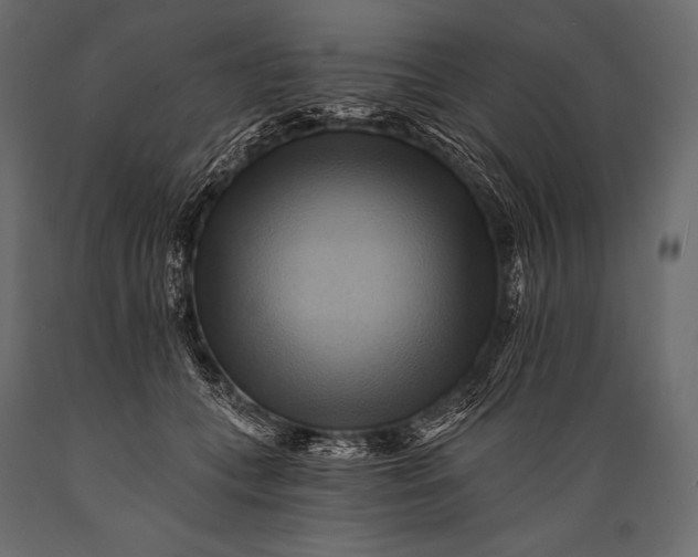 X0000088860559200706291520