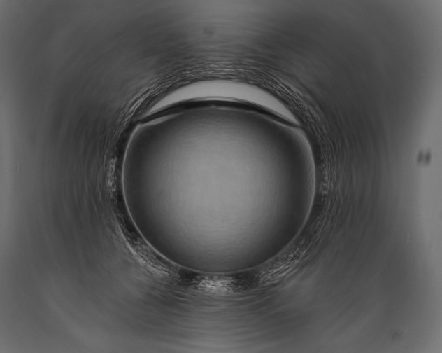 X0000088860560200706291520