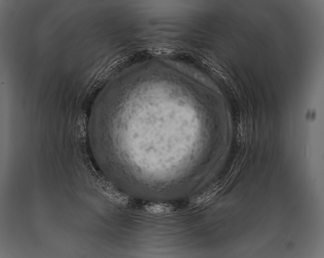 X0000088860561200706291520